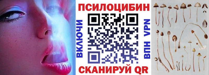 Псилоцибиновые грибы Psilocybine cubensis  наркотики  Удачный 
